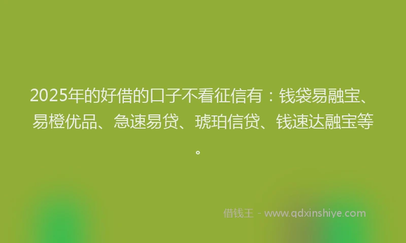 2025年的好借的口子不看征信有：钱袋易融宝、易橙优品、急速易贷、琥珀信贷、钱速达融宝等。