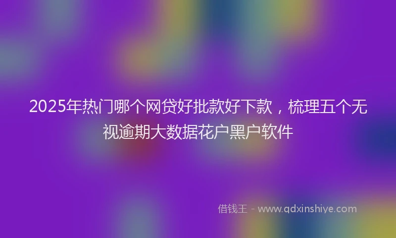 2025年热门哪个网贷好批款好下款，梳理五个无视逾期大数据花户黑户软件