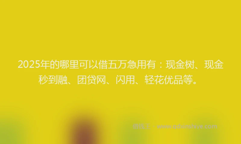 2025年的哪里可以借五万急用有：现金树、现金秒到融、团贷网、闪用、轻花优品等。