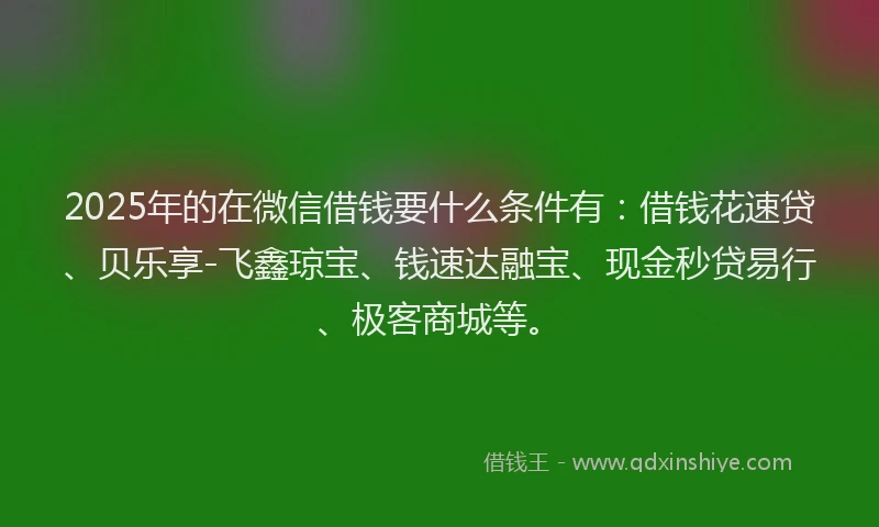 2025年的在微信借钱要什么条件有：借钱花速贷、贝乐享-飞鑫琼宝、钱速达融宝、现金秒贷易行、极客商城等。