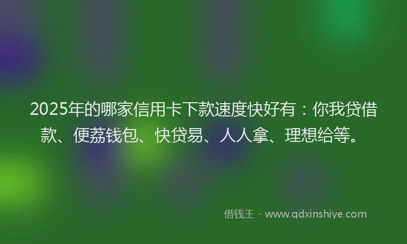 2025年的哪家信用卡下款速度快好有：你我贷借款、便荔钱包、快贷易、人人拿、理想给等。