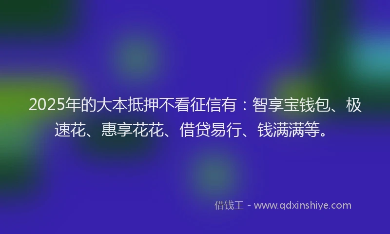 2025年的大本抵押不看征信有：智享宝钱包、极速花、惠享花花、借贷易行、钱满满等。