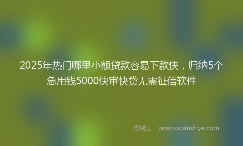2025年热门哪里小额贷款容易下款快，归纳5个急用钱5000快审快贷无需征信软件