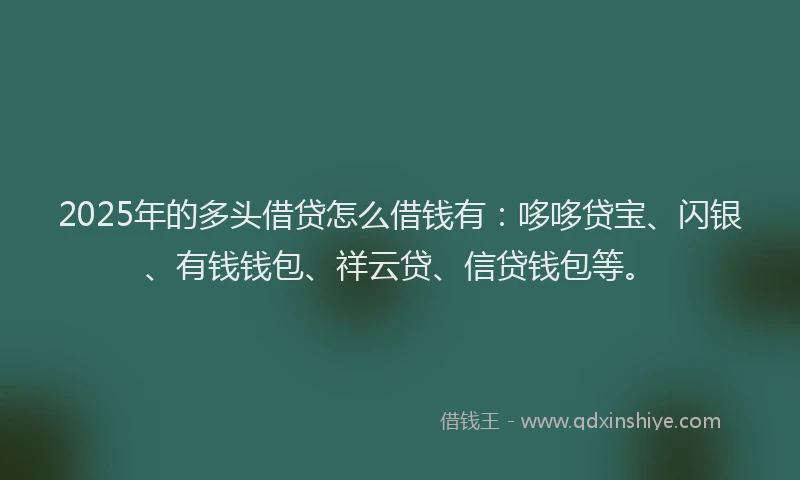 2025年的多头借贷怎么借钱有：哆哆贷宝、闪银、有钱钱包、祥云贷、信贷钱包等。