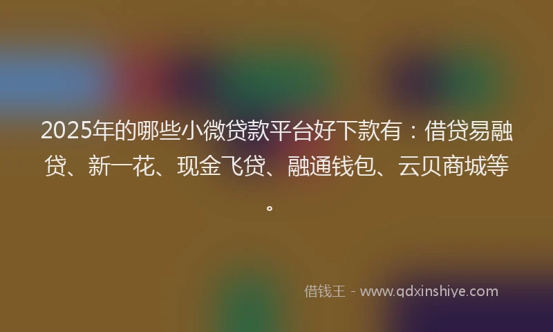 2025年的哪些小微贷款平台好下款有：借贷易融贷、新一花、现金飞贷、融通钱包、云贝商城等。