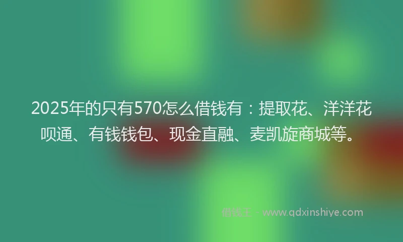 2025年的只有570怎么借钱有：提取花、洋洋花呗通、有钱钱包、现金直融、麦凯旋商城等。