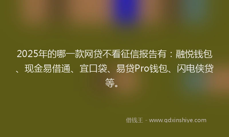 2025年的哪一款网贷不看征信报告有：融悦钱包、现金易借通、宜口袋、易贷Pro钱包、闪电侠贷等。