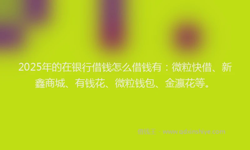 2025年的在银行借钱怎么借钱有：微粒快借、新鑫商城、有钱花、微粒钱包、金瀛花等。