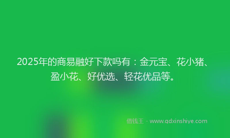 2025年的商易融好下款吗有：金元宝、花小猪、盈小花、好优选、轻花优品等。