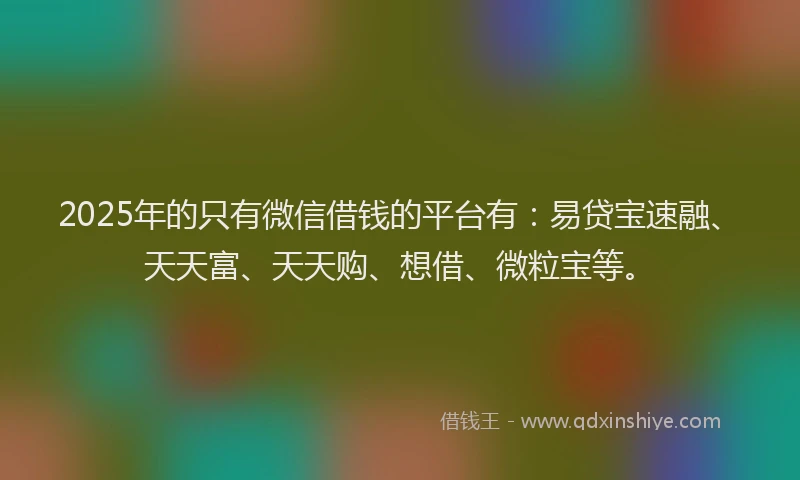 2025年的只有微信借钱的平台有：易贷宝速融、天天富、天天购、想借、微粒宝等。
