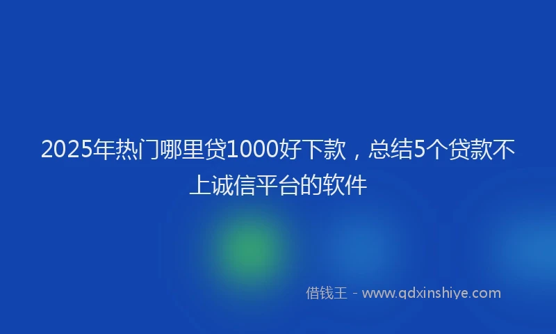 2025年热门哪里贷1000好下款，总结5个贷款不上诚信平台的软件