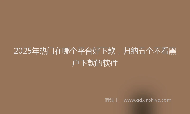 2025年热门在哪个平台好下款，归纳五个不看黑户下款的软件