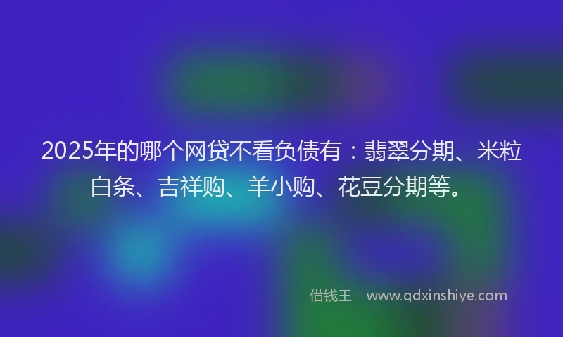 2025年的哪个网贷不看负债有：翡翠分期、米粒白条、吉祥购、羊小购、花豆分期等。
