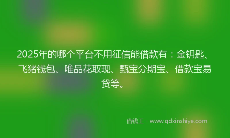 2025年的哪个平台不用征信能借款有：金钥匙、飞猪钱包、唯品花取现、甄宝分期宝、借款宝易贷等。
