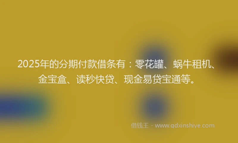 2025年的分期付款借条有：零花罐、蜗牛租机、金宝盒、读秒快贷、现金易贷宝通等。
