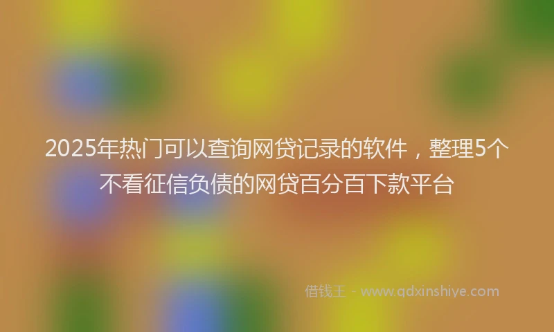 2025年热门可以查询网贷记录的软件，整理5个不看征信负债的网贷百分百下款平台