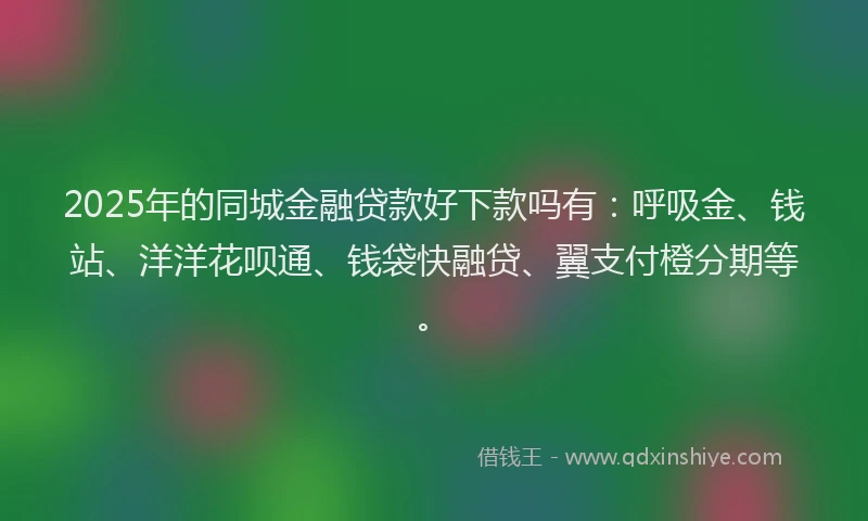 2025年的同城金融贷款好下款吗有：呼吸金、钱站、洋洋花呗通、钱袋快融贷、翼支付橙分期等。