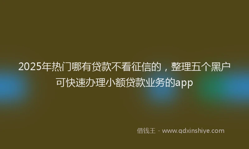 2025年热门哪有贷款不看征信的，整理五个黑户可快速办理小额贷款业务的app