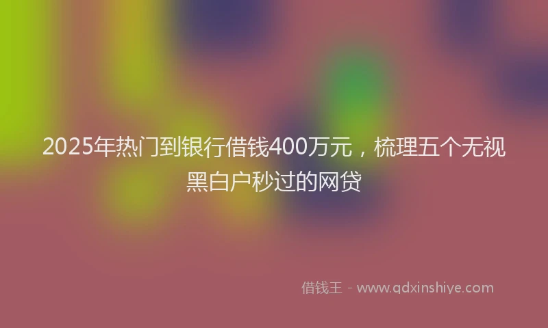 2025年热门到银行借钱400万元，梳理五个无视黑白户秒过的网贷