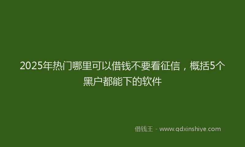 2025年热门哪里可以借钱不要看征信，概括5个黑户都能下的软件