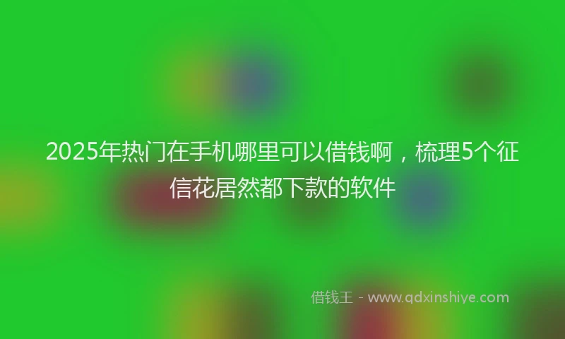 2025年热门在手机哪里可以借钱啊，梳理5个征信花居然都下款的软件