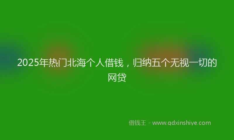 2025年热门北海个人借钱，归纳五个无视一切的网贷