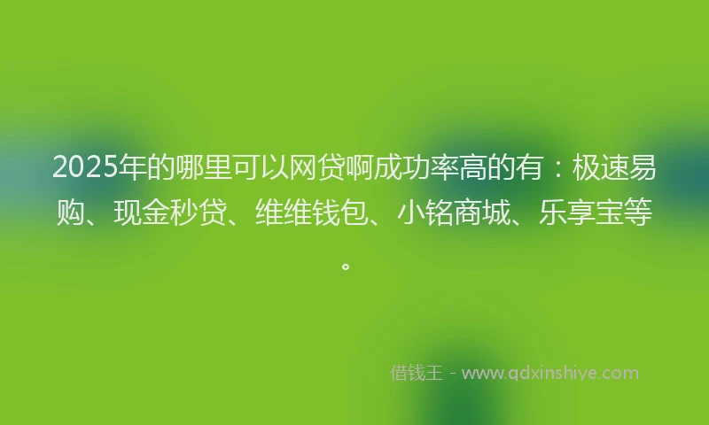 2025年的哪里可以网贷啊成功率高的有：极速易购、现金秒贷、维维钱包、小铭商城、乐享宝等。