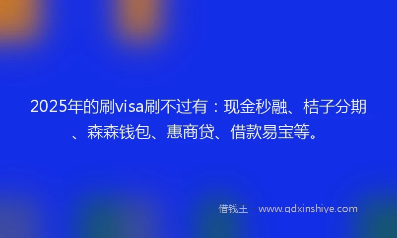 2025年的刷visa刷不过有：现金秒融、桔子分期、森森钱包、惠商贷、借款易宝等。