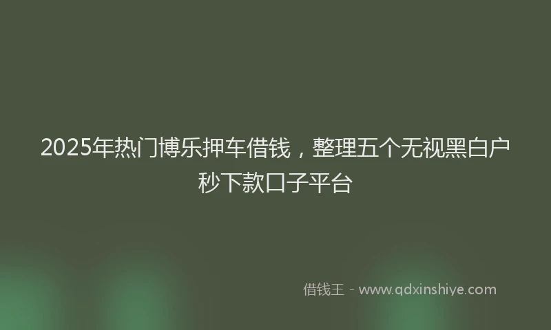2025年热门博乐押车借钱，整理五个无视黑白户秒下款口子平台