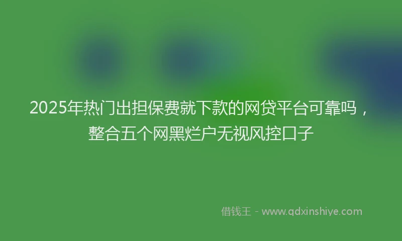 2025年热门出担保费就下款的网贷平台可靠吗，整合五个网黑烂户无视风控口子