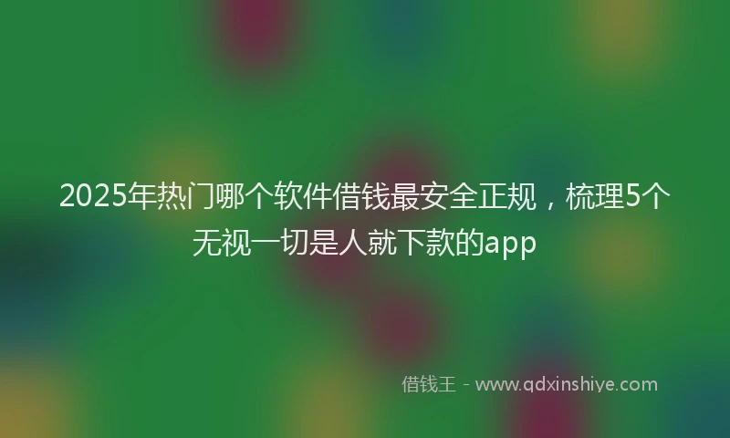 2025年热门哪个软件借钱最安全正规，梳理5个无视一切是人就下款的app