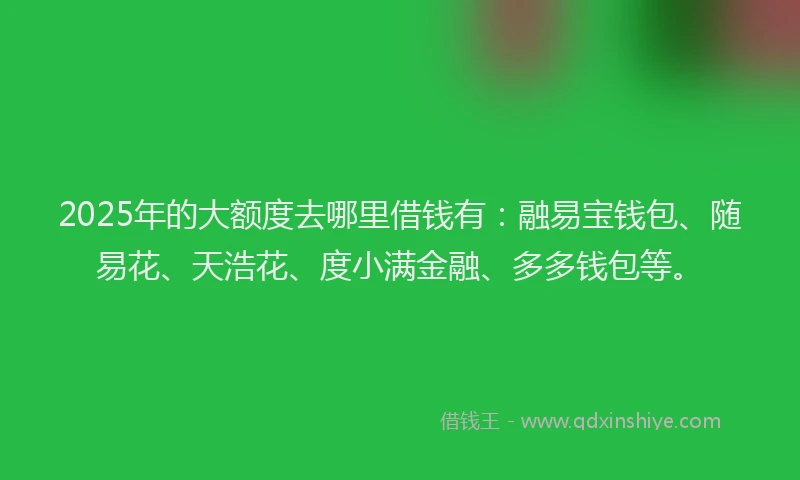 2025年的大额度去哪里借钱有：融易宝钱包、随易花、天浩花、度小满金融、多多钱包等。