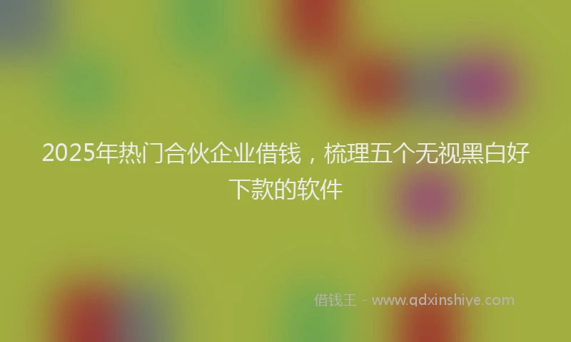 2025年热门合伙企业借钱，梳理五个无视黑白好下款的软件