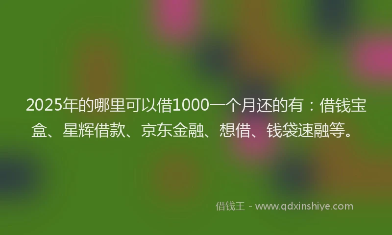 2025年的哪里可以借1000一个月还的有：借钱宝盒、星辉借款、京东金融、想借、钱袋速融等。