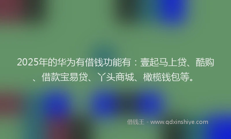 2025年的华为有借钱功能有：壹起马上贷、酷购、借款宝易贷、丫头商城、橄榄钱包等。