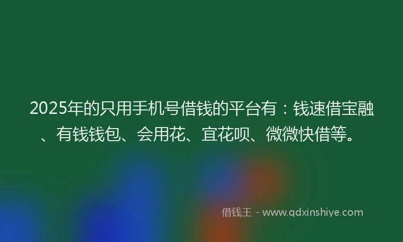 2025年的只用手机号借钱的平台有：钱速借宝融、有钱钱包、会用花、宜花呗、微微快借等。