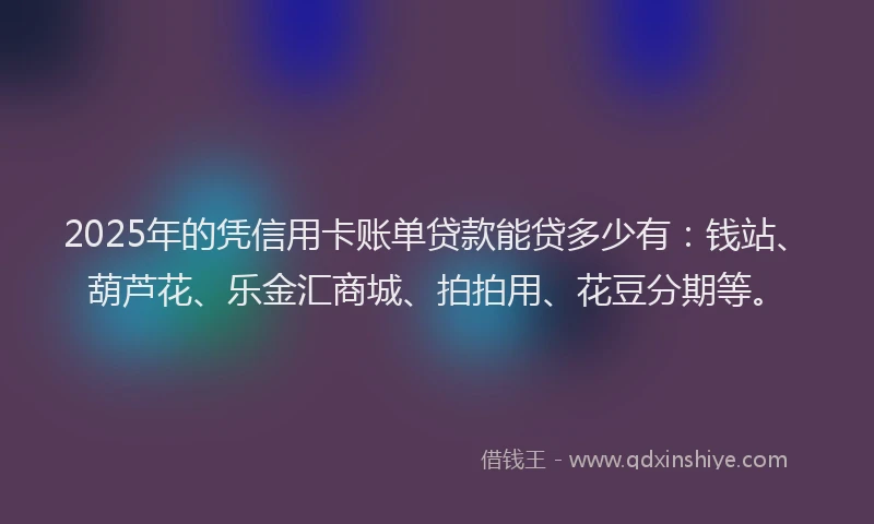 2025年的凭信用卡账单贷款能贷多少有：钱站、葫芦花、乐金汇商城、拍拍用、花豆分期等。