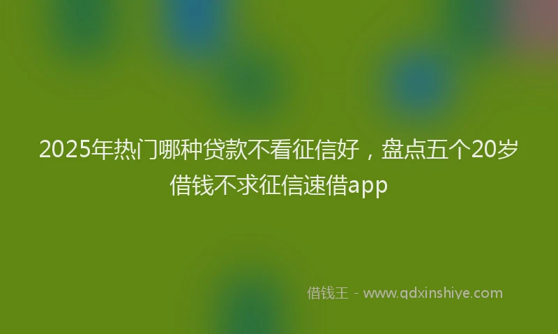 2025年热门哪种贷款不看征信好，盘点五个20岁借钱不求征信速借app