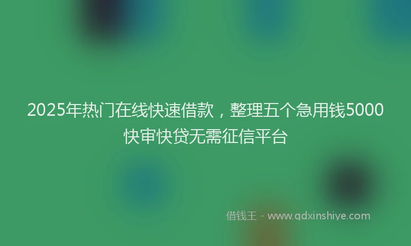 2025年热门在线快速借款，整理五个急用钱5000快审快贷无需征信平台