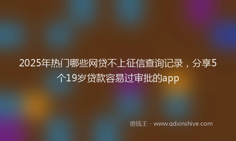 2025年热门哪些网贷不上征信查询记录，分享5个19岁贷款容易过审批的app