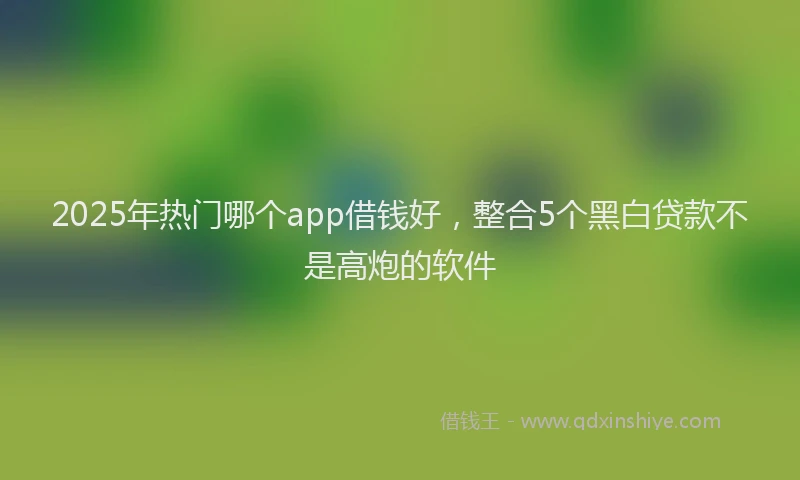 2025年热门哪个app借钱好，整合5个黑白贷款不是高炮的软件