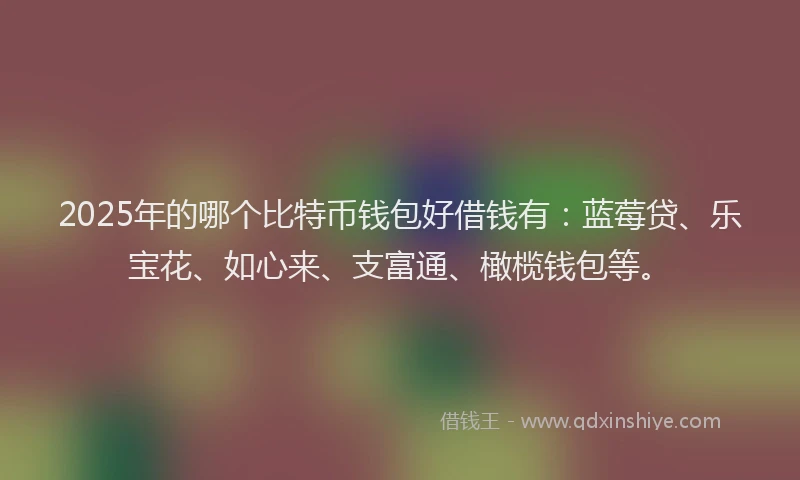 2025年的哪个比特币钱包好借钱有：蓝莓贷、乐宝花、如心来、支富通、橄榄钱包等。