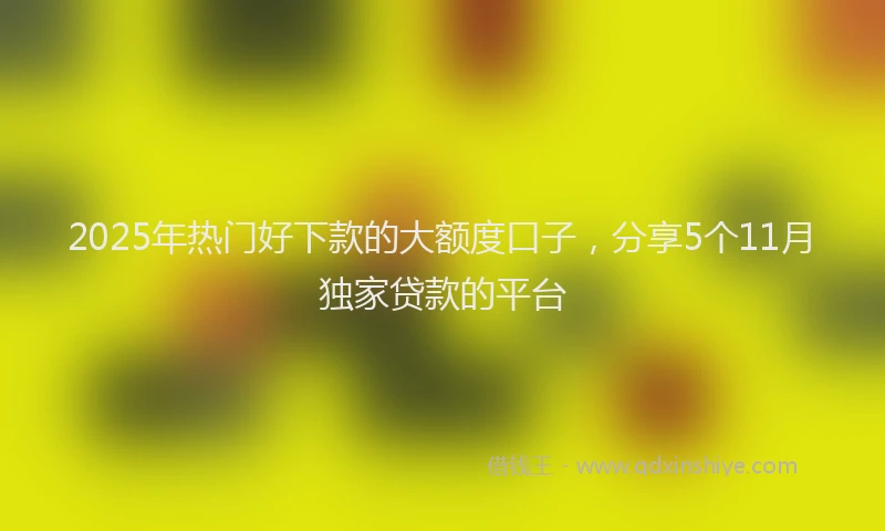 2025年热门好下款的大额度口子，分享5个11月独家贷款的平台