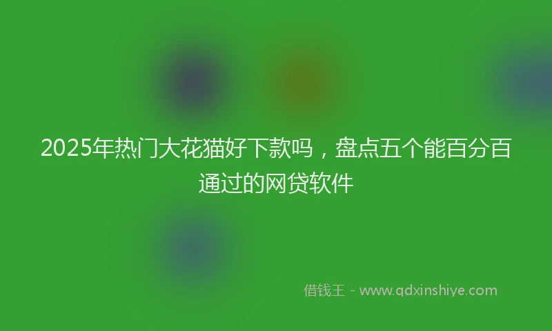 2025年热门大花猫好下款吗，盘点五个能百分百通过的网贷软件
