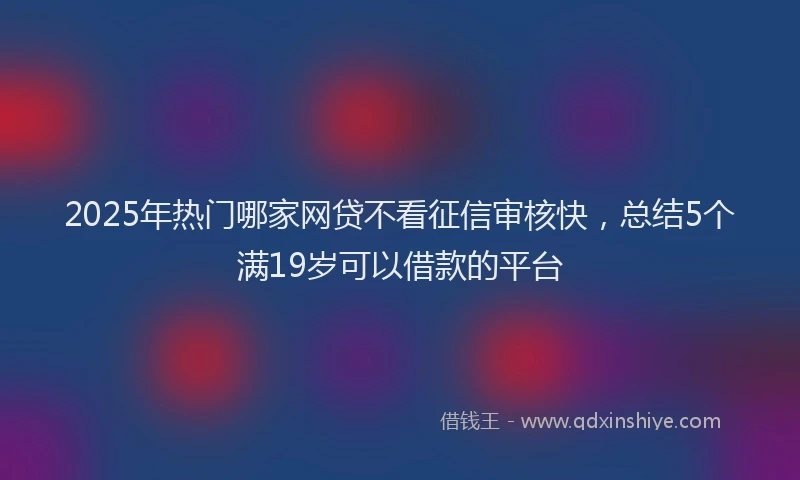 2025年热门哪家网贷不看征信审核快，总结5个满19岁可以借款的平台