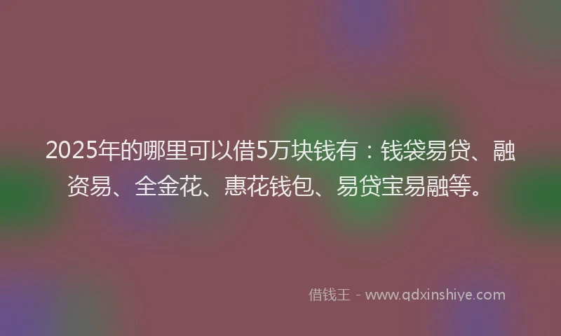 2025年的哪里可以借5万块钱有：钱袋易贷、融资易、全金花、惠花钱包、易贷宝易融等。