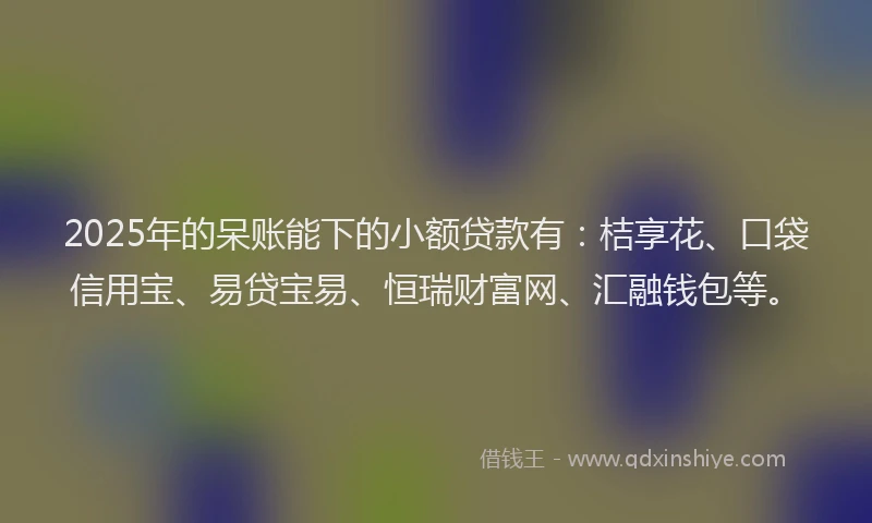 2025年的呆账能下的小额贷款有：桔享花、口袋信用宝、易贷宝易、恒瑞财富网、汇融钱包等。