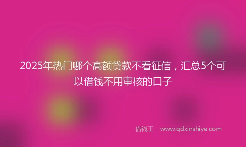 2025年热门哪个高额贷款不看征信，汇总5个可以借钱不用审核的口子