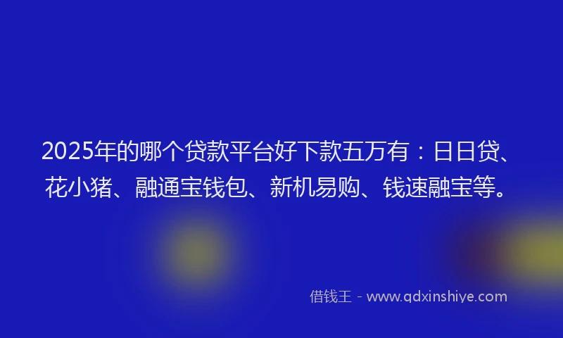 2025年的哪个贷款平台好下款五万有：日日贷、花小猪、融通宝钱包、新机易购、钱速融宝等。