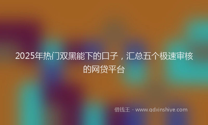 2025年热门双黑能下的口子，汇总五个极速审核的网贷平台